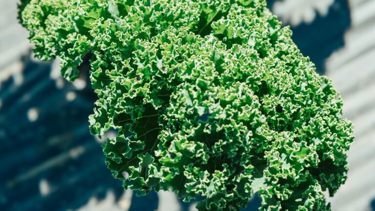 pexels-kindelmedia-7457042